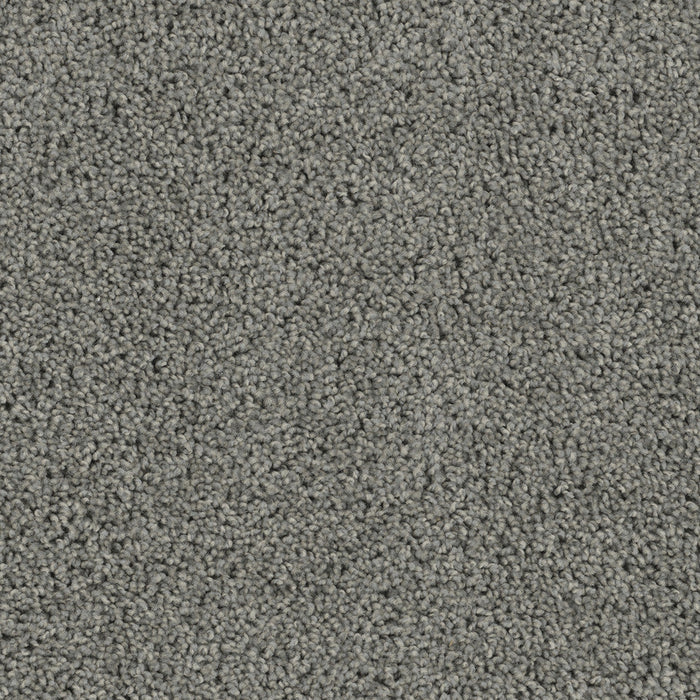 DreamWeaver - Tracker - Carpet