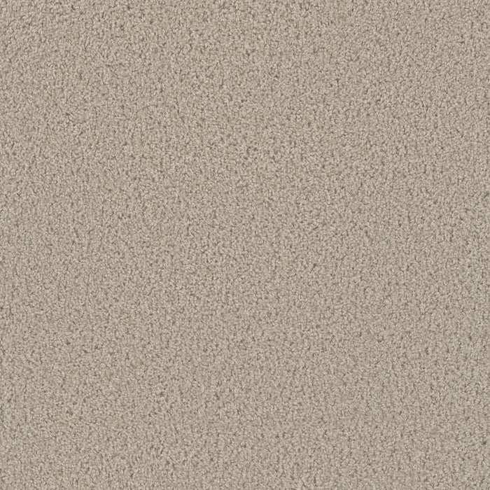 DreamWeaver - Tracker - Carpet