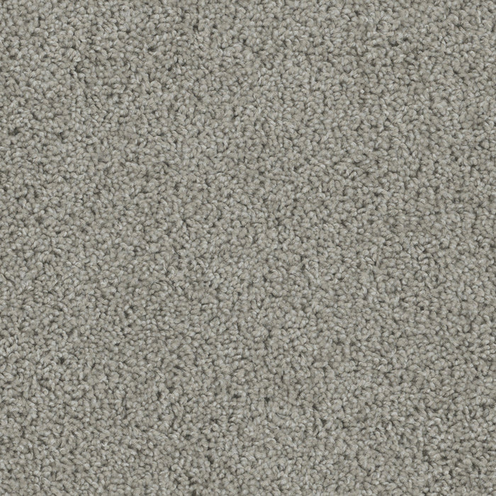 DreamWeaver - Tracker - Carpet