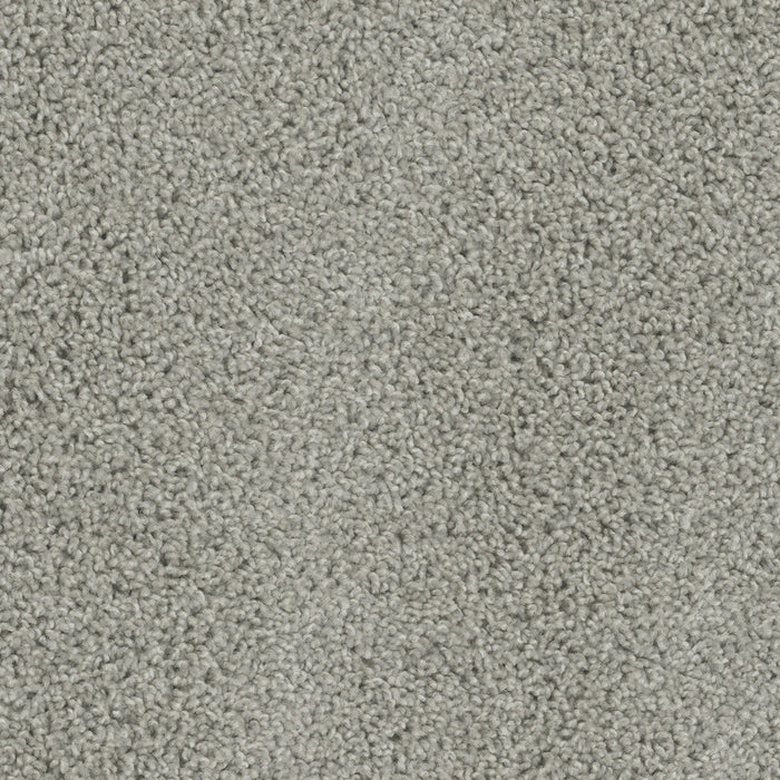 DreamWeaver - Tracker - Carpet