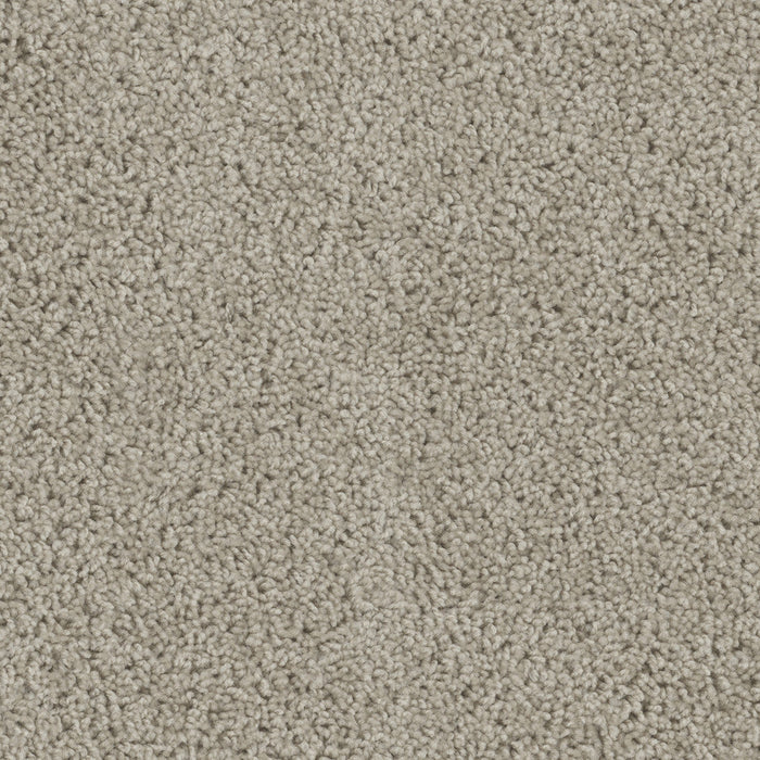 DreamWeaver - Tracker - Carpet