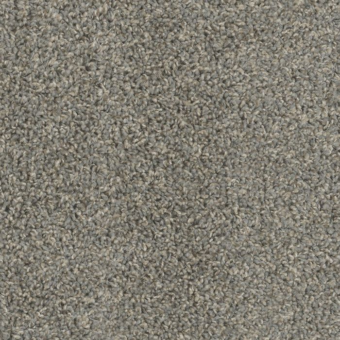 DreamWeaver - Tracker - Carpet