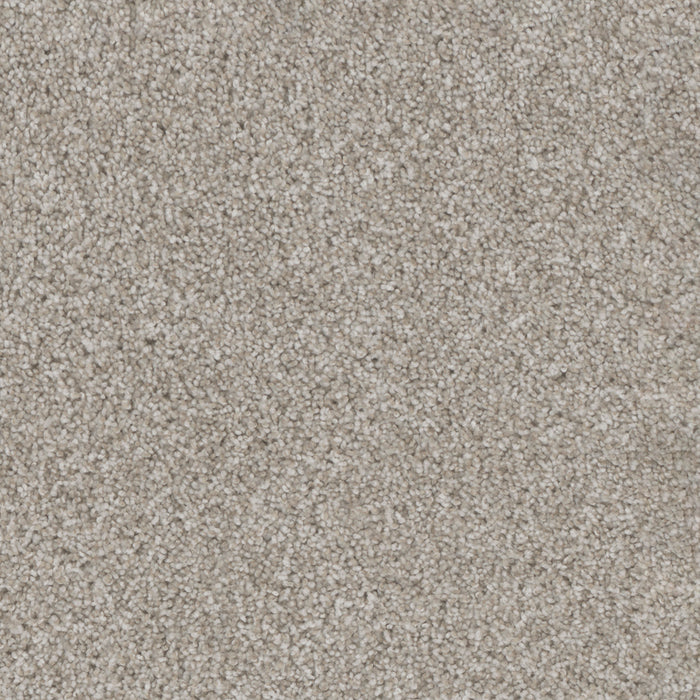 DreamWeaver - Trendsetter II - Carpet