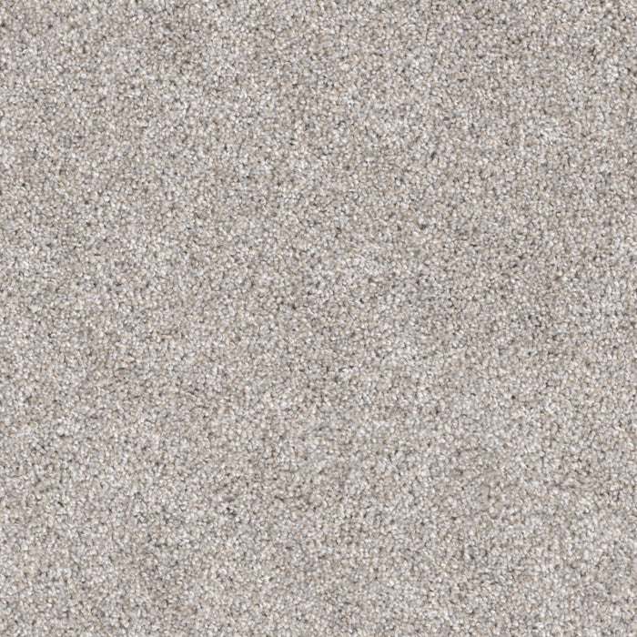 DreamWeaver - Trendsetter II - Carpet