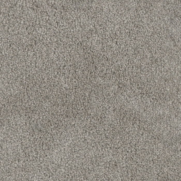 DreamWeaver - Trendsetter II - Carpet