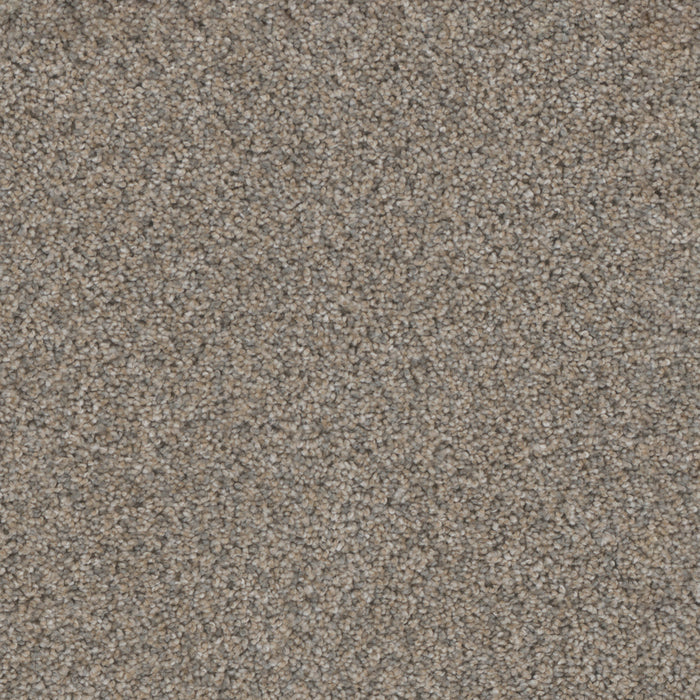 DreamWeaver - Trendsetter II - Carpet