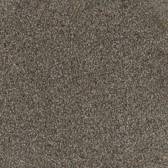DreamWeaver - Trendsetter II - Carpet