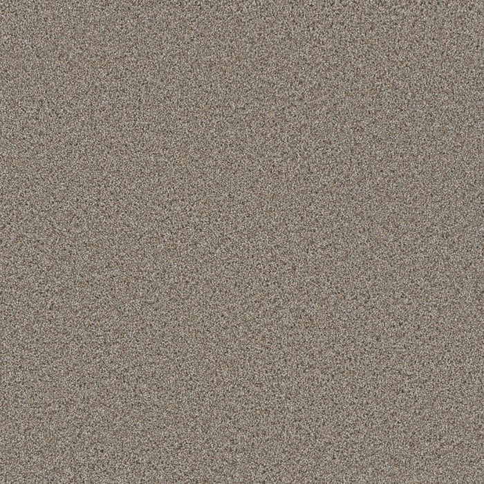 DreamWeaver - Trendsetter II - Carpet