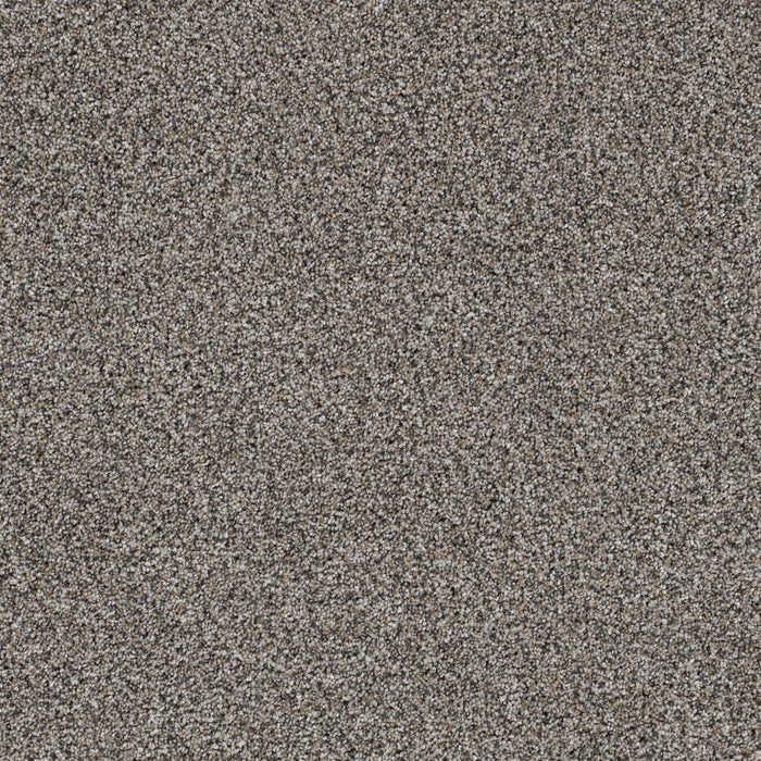 DreamWeaver - Trendsetter II - Carpet