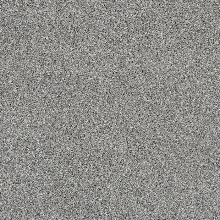 DreamWeaver - Trendsetter II - Carpet