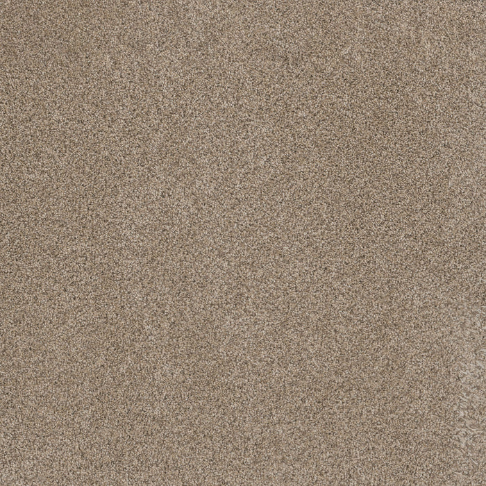 DreamWeaver - Trendsetter II - Carpet