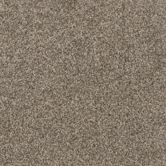 DreamWeaver - Trendsetter II - Carpet