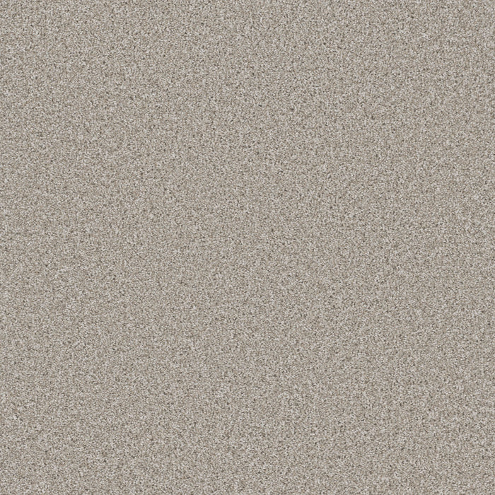 DreamWeaver - Trendsetter II - Carpet