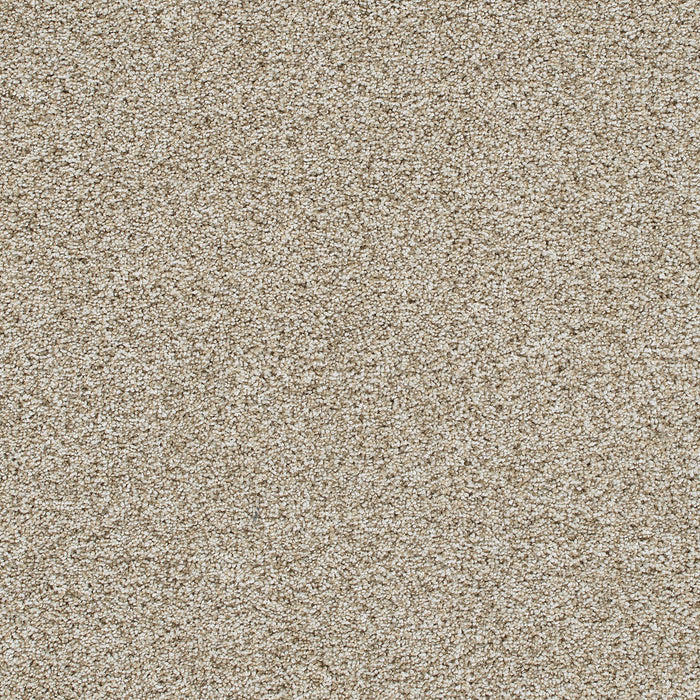 DreamWeaver - Trendsetter II - Carpet