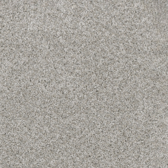 DreamWeaver - Trendsetter II - Carpet