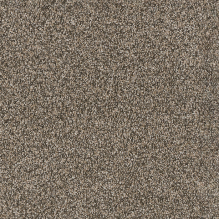DreamWeaver - Trendsetter II - Carpet