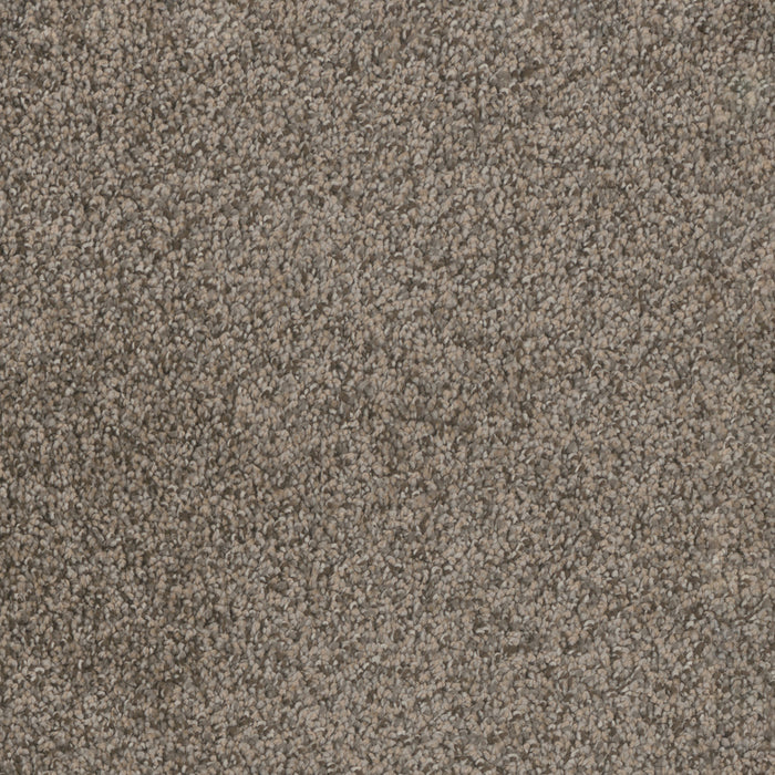 DreamWeaver - Trendsetter II - Carpet