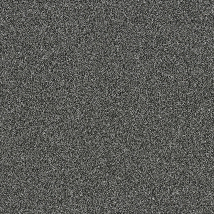 DreamWeaver - Trendsetter II - Carpet