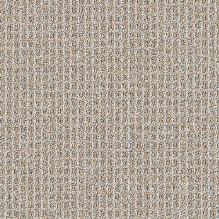DreamWeaver - Valencia - Carpet
