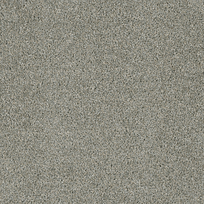 DreamWeaver - Yellowstone - Carpet