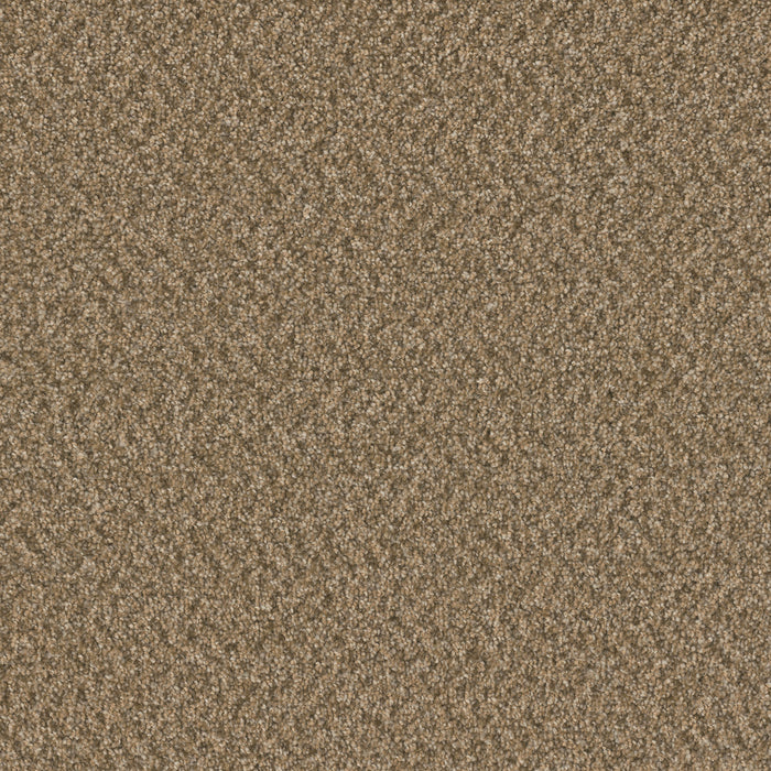 DreamWeaver - Broadcast Plus - Carpet