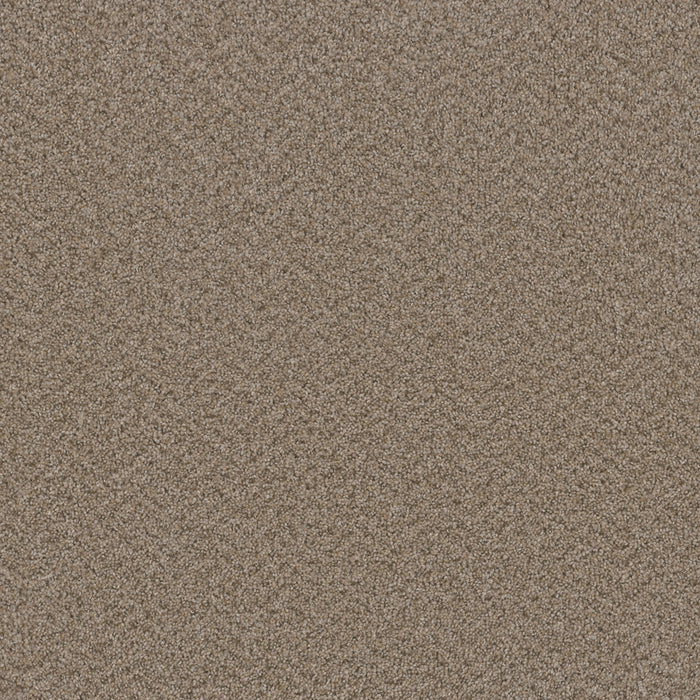 DreamWeaver - Broadcast Plus - Carpet