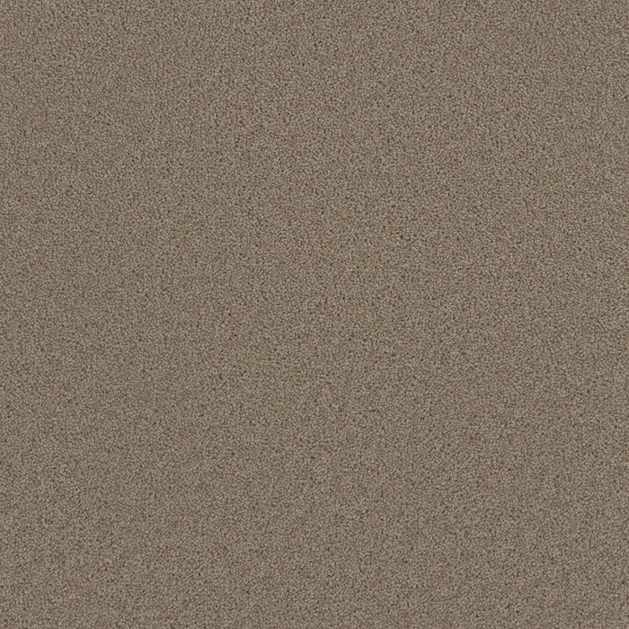 DreamWeaver - Broadcast Plus - Carpet