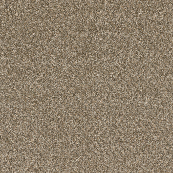 DreamWeaver - Broadcast Plus - Carpet