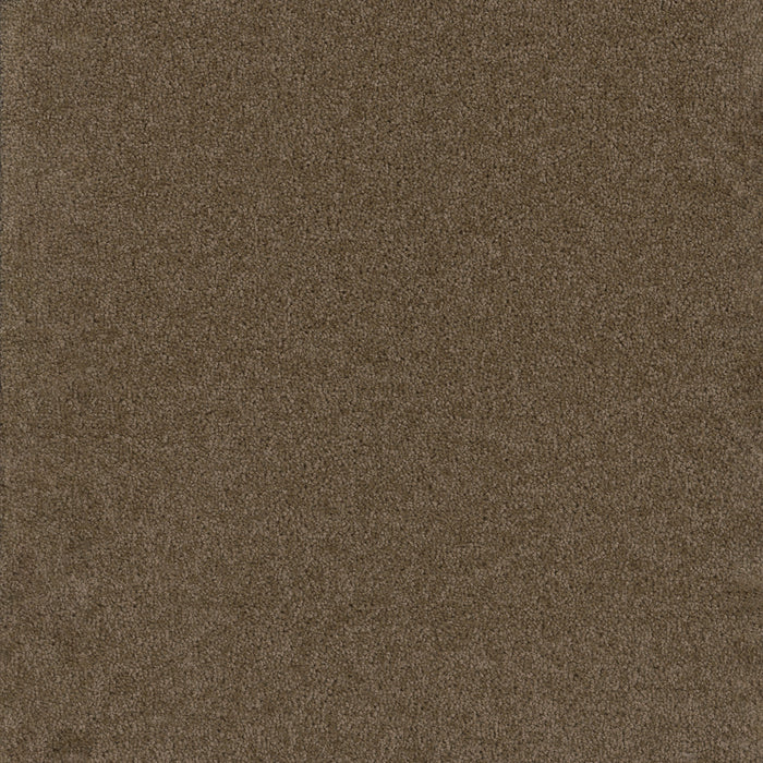 DreamWeaver - Broadcast Plus - Carpet