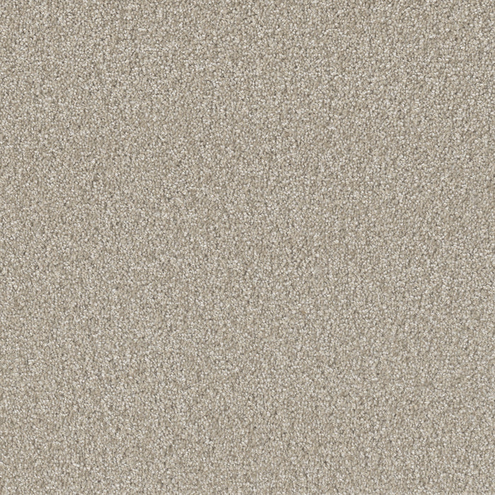 DreamWeaver - Broadcast Plus - Carpet
