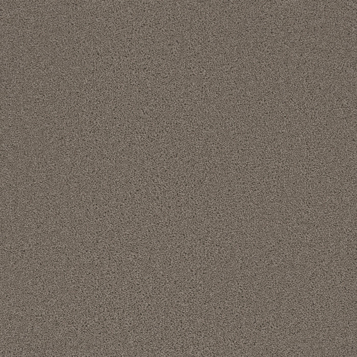 DreamWeaver - Broadcast Plus - Carpet