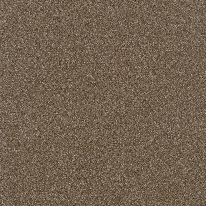 DreamWeaver - Broadcast Plus - Carpet