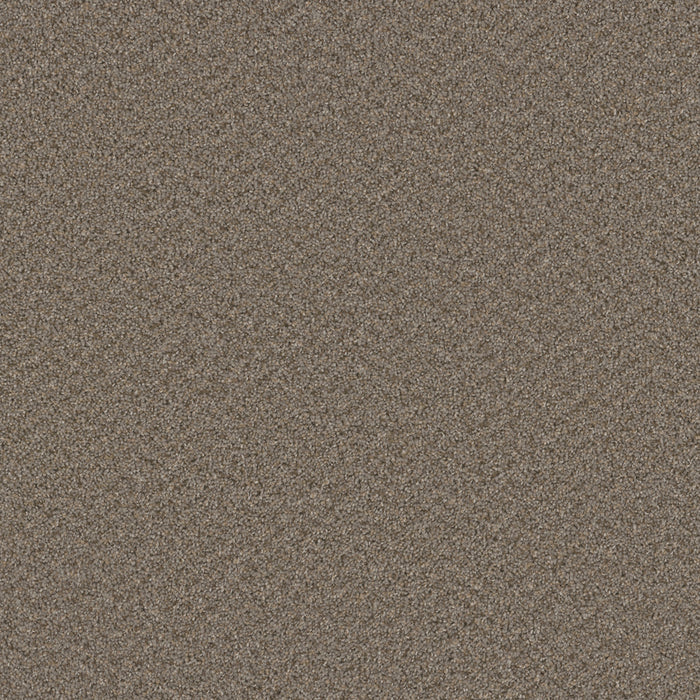 DreamWeaver - Broadcast Plus - Carpet