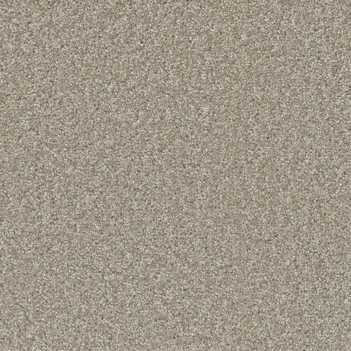 DreamWeaver - Broadcast Plus - Carpet