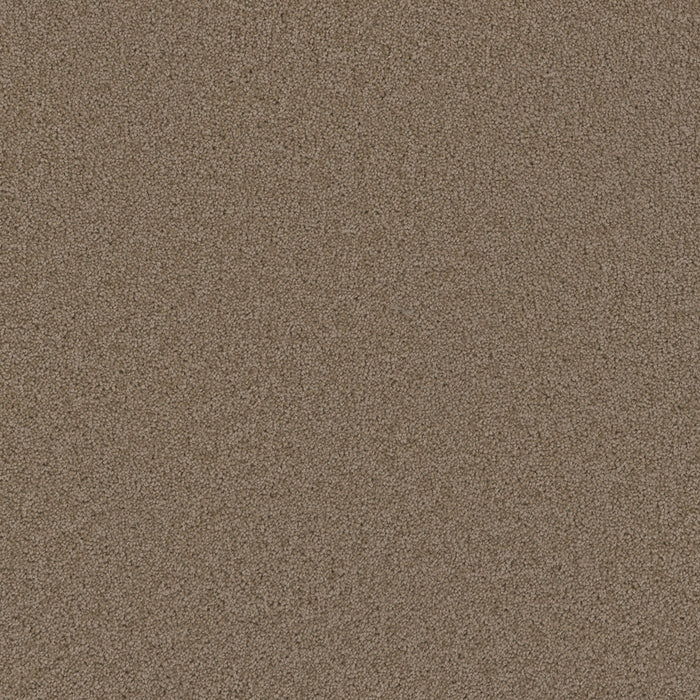 DreamWeaver - Broadcast Plus - Carpet