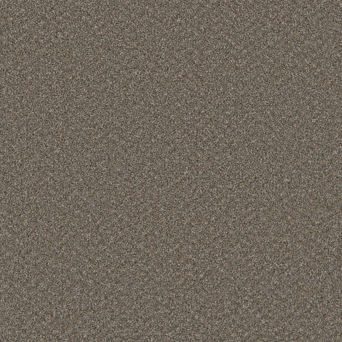 DreamWeaver - Broadcast Plus - Carpet