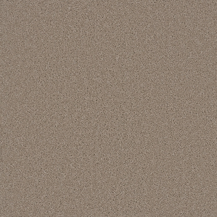 DreamWeaver - Broadcast Plus - Carpet