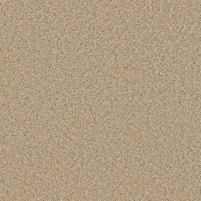 DreamWeaver - Broadcast Plus - Carpet