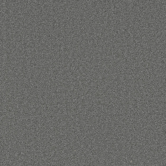 DreamWeaver - Broadcast Plus - Carpet