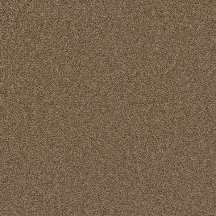 DreamWeaver - Broadcast Plus - Carpet