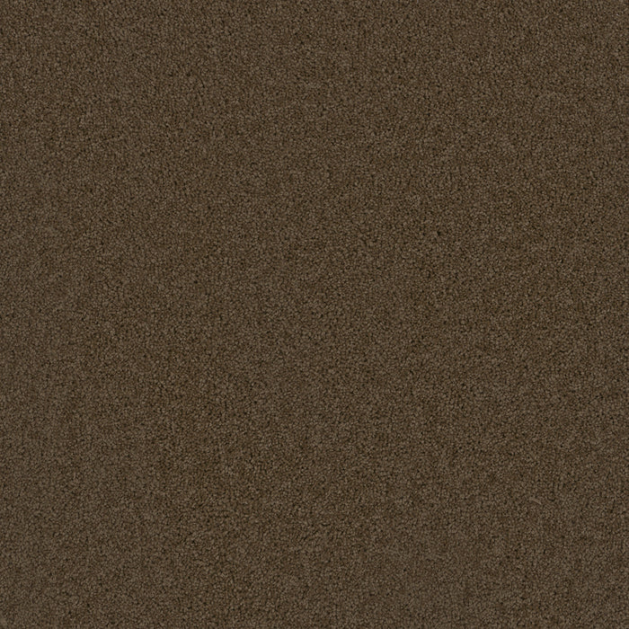 DreamWeaver - Broadcast Plus - Carpet