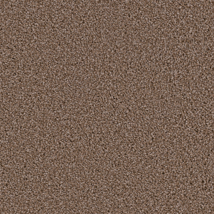 DreamWeaver - Broadcast Plus - Carpet