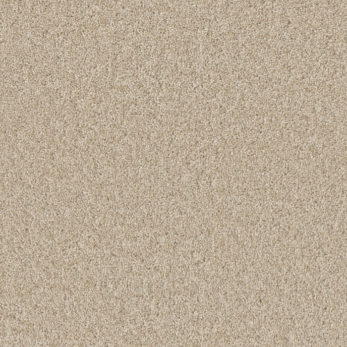 DreamWeaver - Broadcast Plus - Carpet