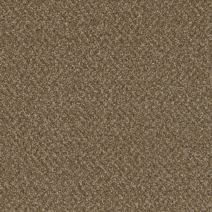 DreamWeaver - Broadcast Plus - Carpet
