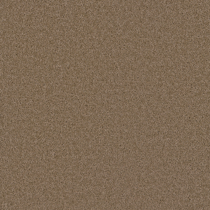 DreamWeaver - Broadcast Plus - Carpet