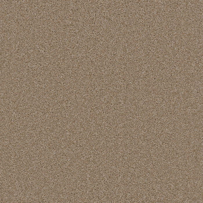 DreamWeaver - Broadcast Plus - Carpet