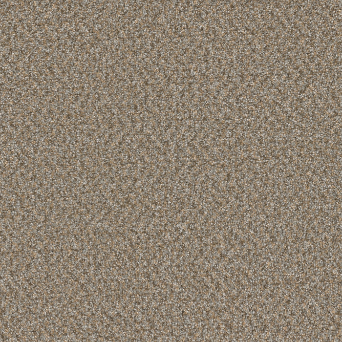 DreamWeaver - Broadcast Plus - Carpet