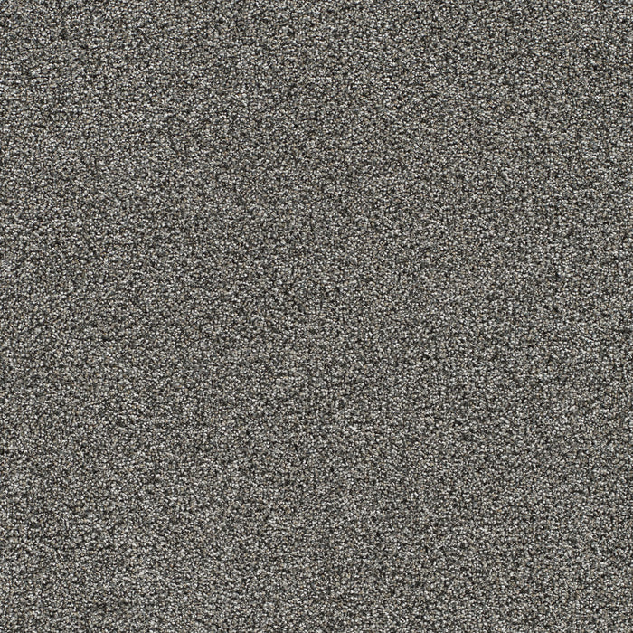 DreamWeaver - Gold Standard III - Carpet