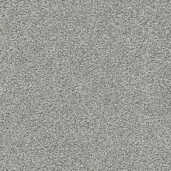 DreamWeaver - Gold Standard III - Carpet