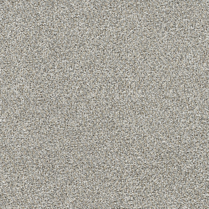 DreamWeaver - Gold Standard III - Carpet